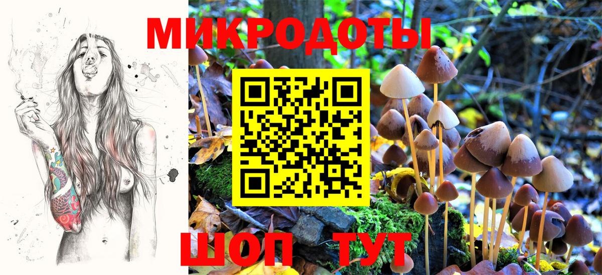 Норильск  Галлюциногенные грибы мухоморы  Вход с VPN 