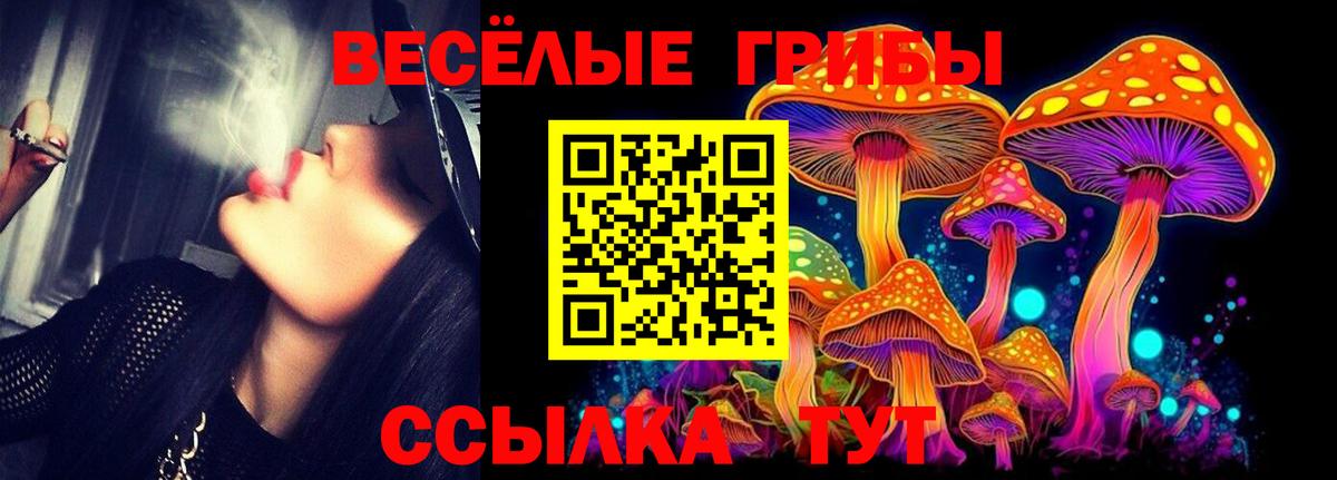 Галлюциногенные грибы MAGIC MUSHROOMS Норильск